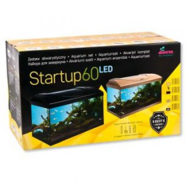Diversa Startup 60 LED